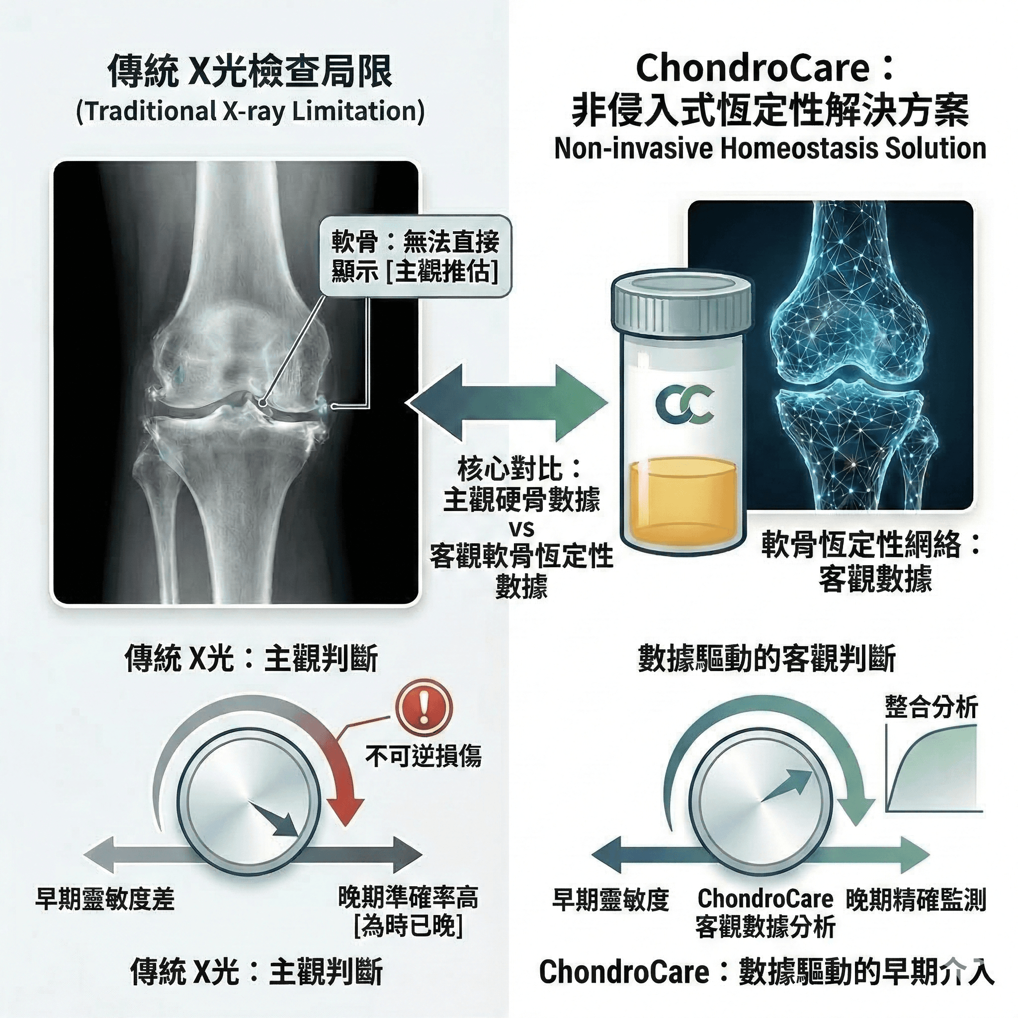 ChondroCare 技術概念示意圖