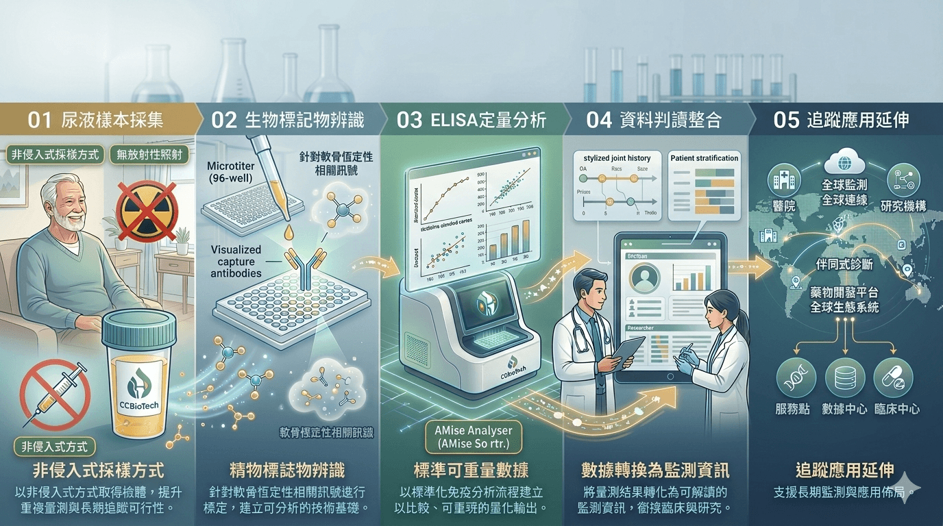 ChondroCare 中文版流程總覽圖